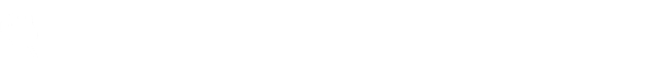 百点 大相撲巡業・イベント